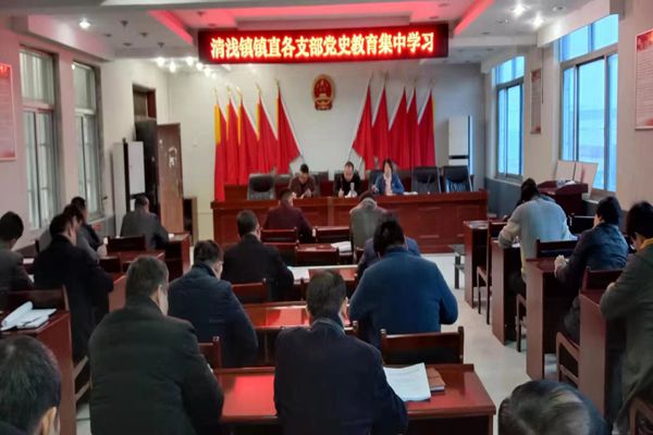 清浅镇镇直各支部党史教育集中学习_副本.jpg