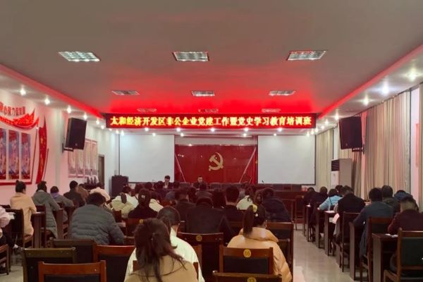 开发区非公企业党建工作暨党史学习教育培训班成功举办.jpg