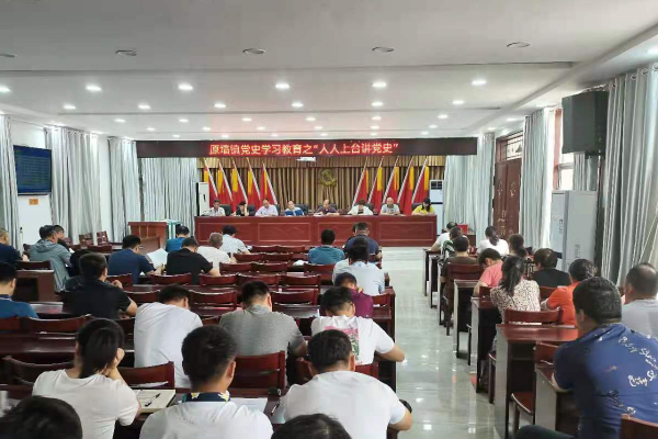 原墙镇:结合党史教育学习,助力“我为群众办实事”.jpg