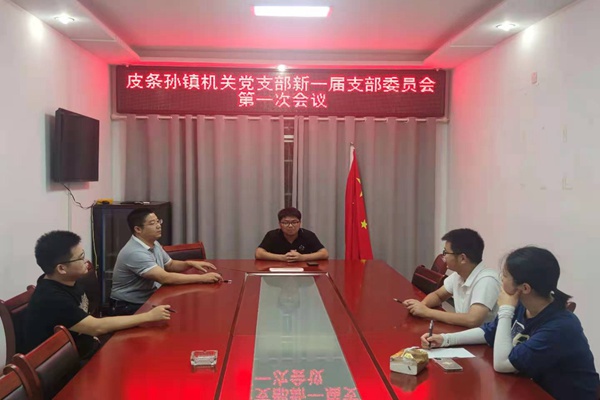 皮条孙镇机关党支部新一届支部委员会第一次会议.jpg