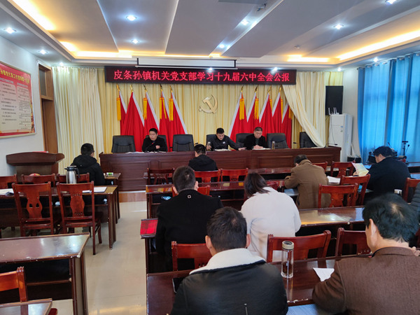 学习十九届六中全会公报.jpg