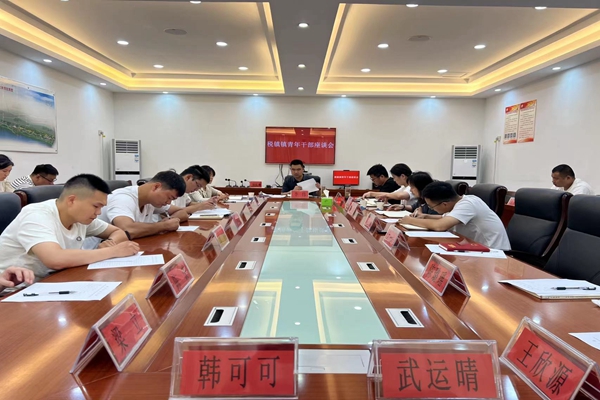 税镇镇召开青年干部座谈会