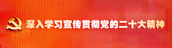 学习贯彻党的二十大