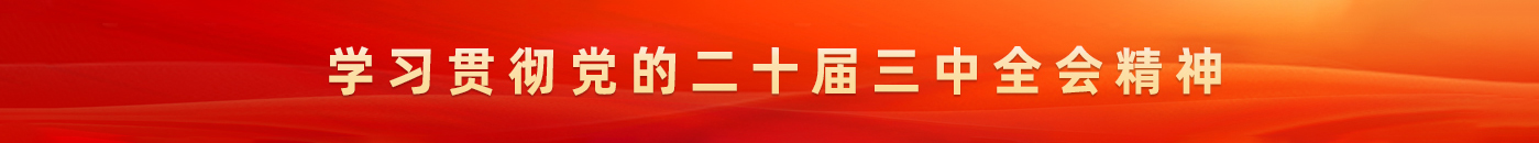 学习贯彻党的二十届三中全会精神