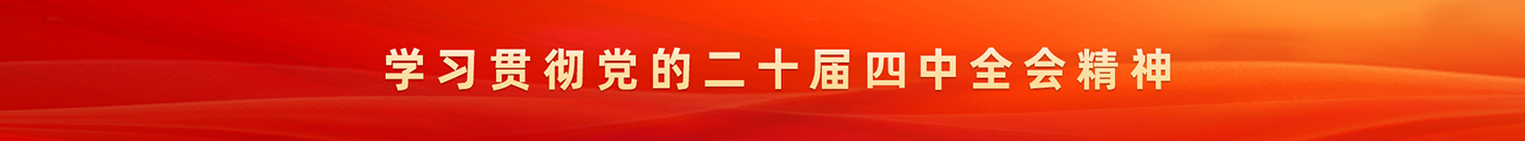 学习贯彻党的二十届四中全会精神